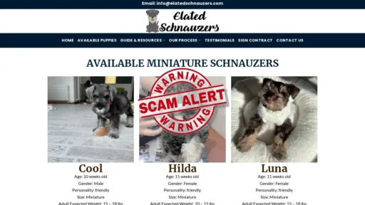 Scam Website Screenshot Elatedschnauzers.com