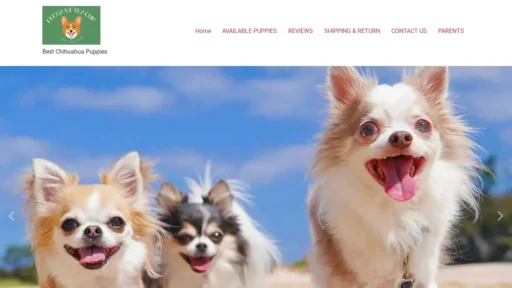 Scam Website Screenshot Elegantteacupchiuahuapups.com