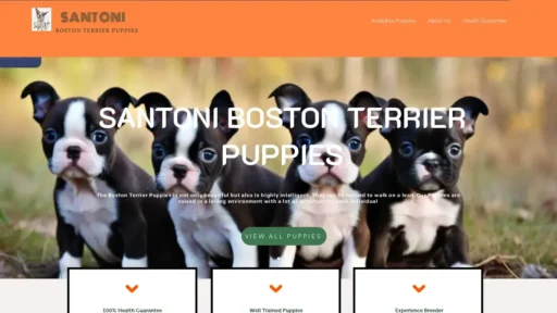 Scam Website Screenshot Elitebostonterrierforsale.com