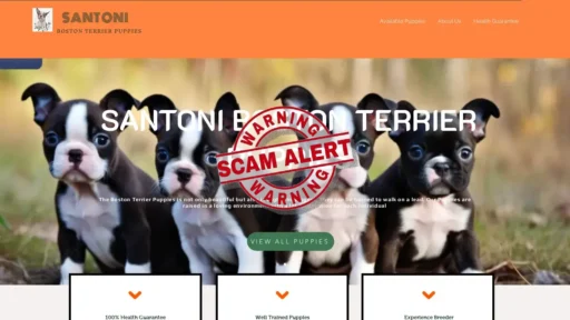 Scam Website Screenshot Elitecatterybostonterriers.com