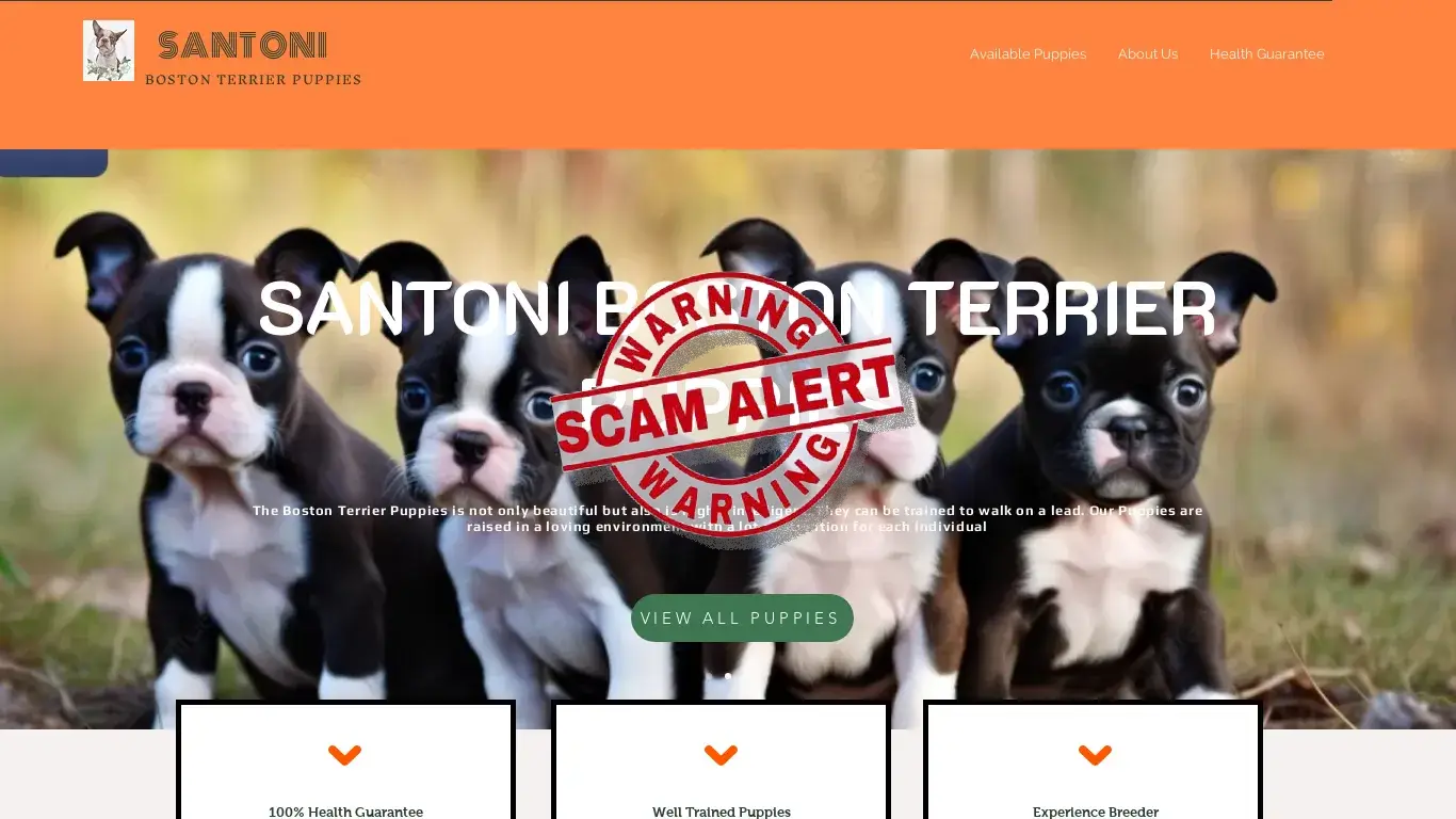 is Home | Boston For Sale legit? screenshot