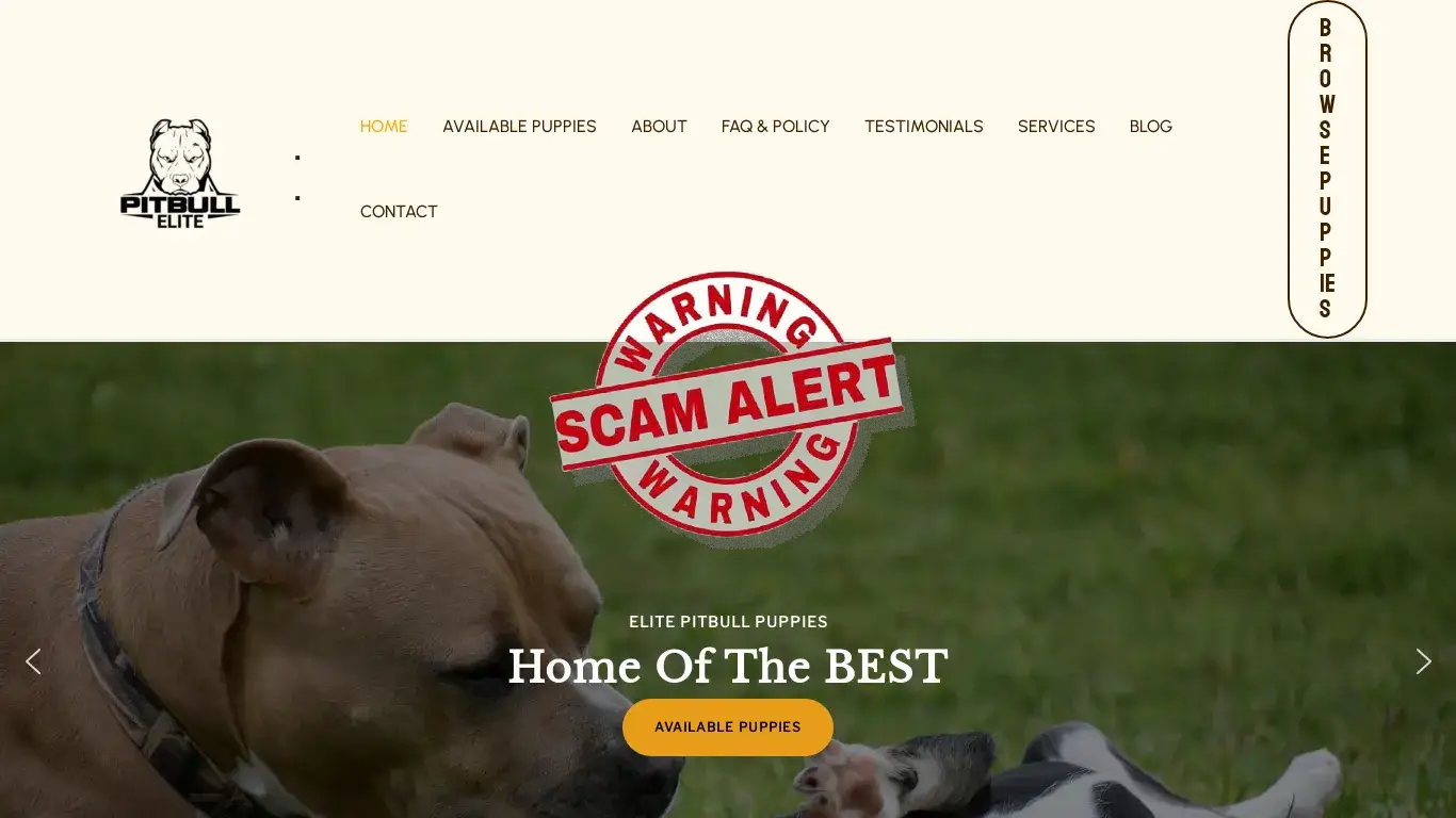 Scam Website Screenshot Elitepitbulls.com