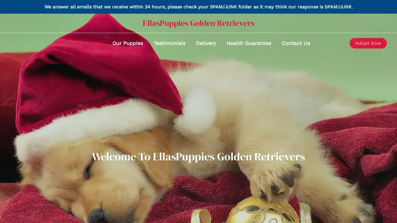 is EllasPuppies Golden Retrievers – Purebred Golden Retrievers For Sale legit? screenshot