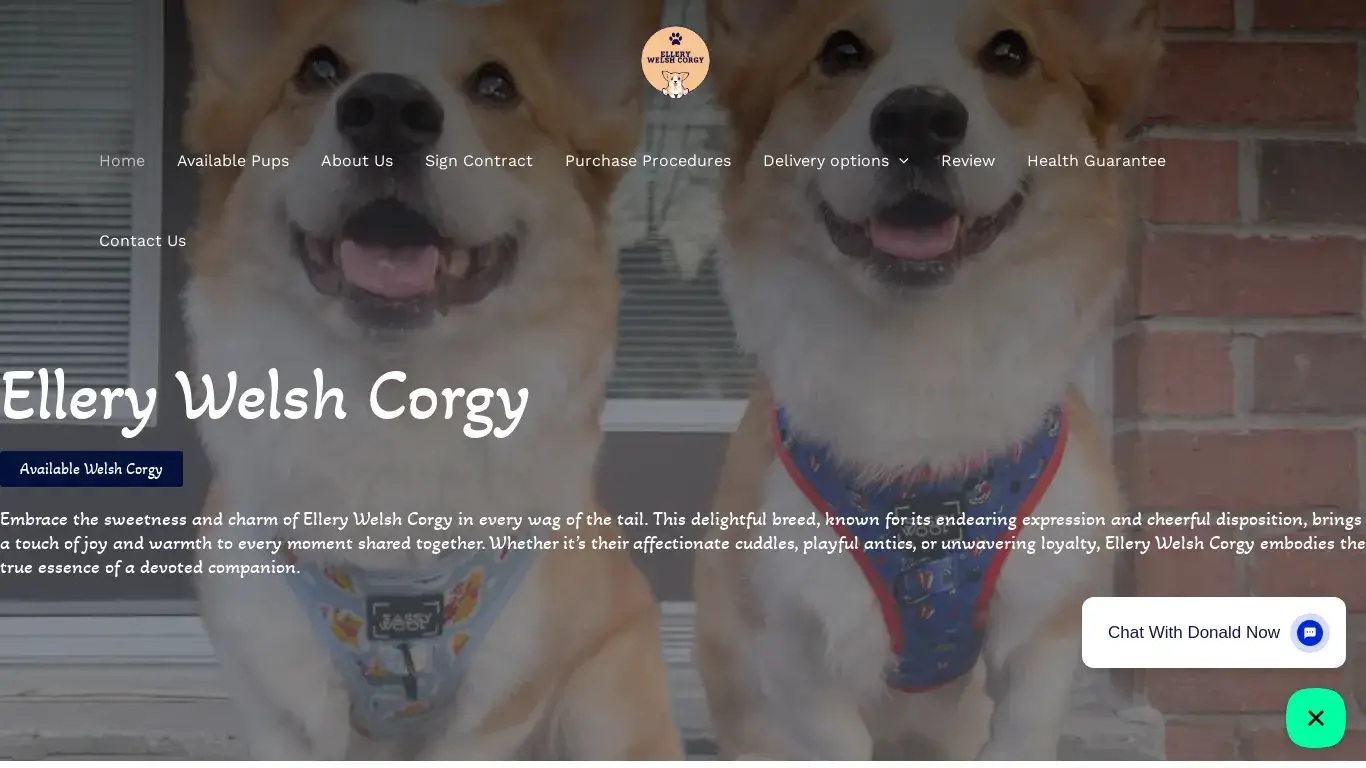ellerywelsh corgi com