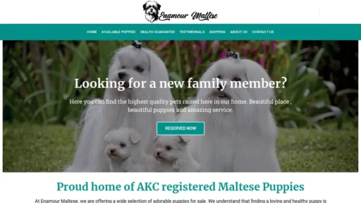 Scam Website Screenshot Enamourmaltese.com