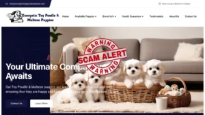 Scam Website Screenshot Energetictoypoodlemaltese.com