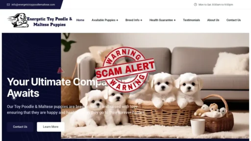 Scam Website Screenshot Energetictoypoodlemaltese.com