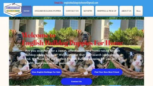 Scam Website Screenshot Englishbulldogsforhome.com
