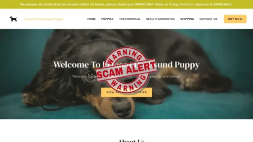 Scam Website Screenshot Ermontdachsundpuppy.com