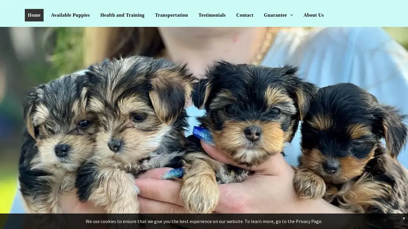is Yorkshire Terriers, Biewer Yorkies | Estrada Yorkies legit? screenshot