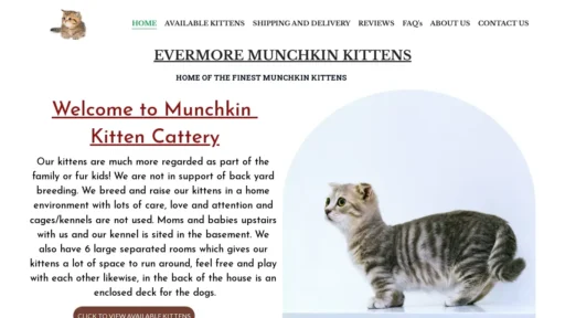 Scam Website Screenshot Evermoremunchkins.com