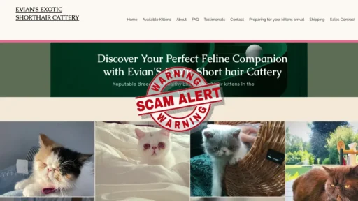 Scam Website Screenshot Evian-exoticshorthaircattery.com