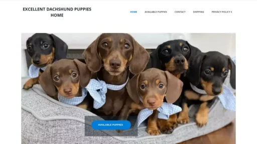 Scam Website Screenshot Excellentdachshund.online