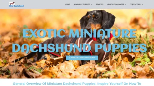 Scam Website Screenshot Exoticminidachshund.com