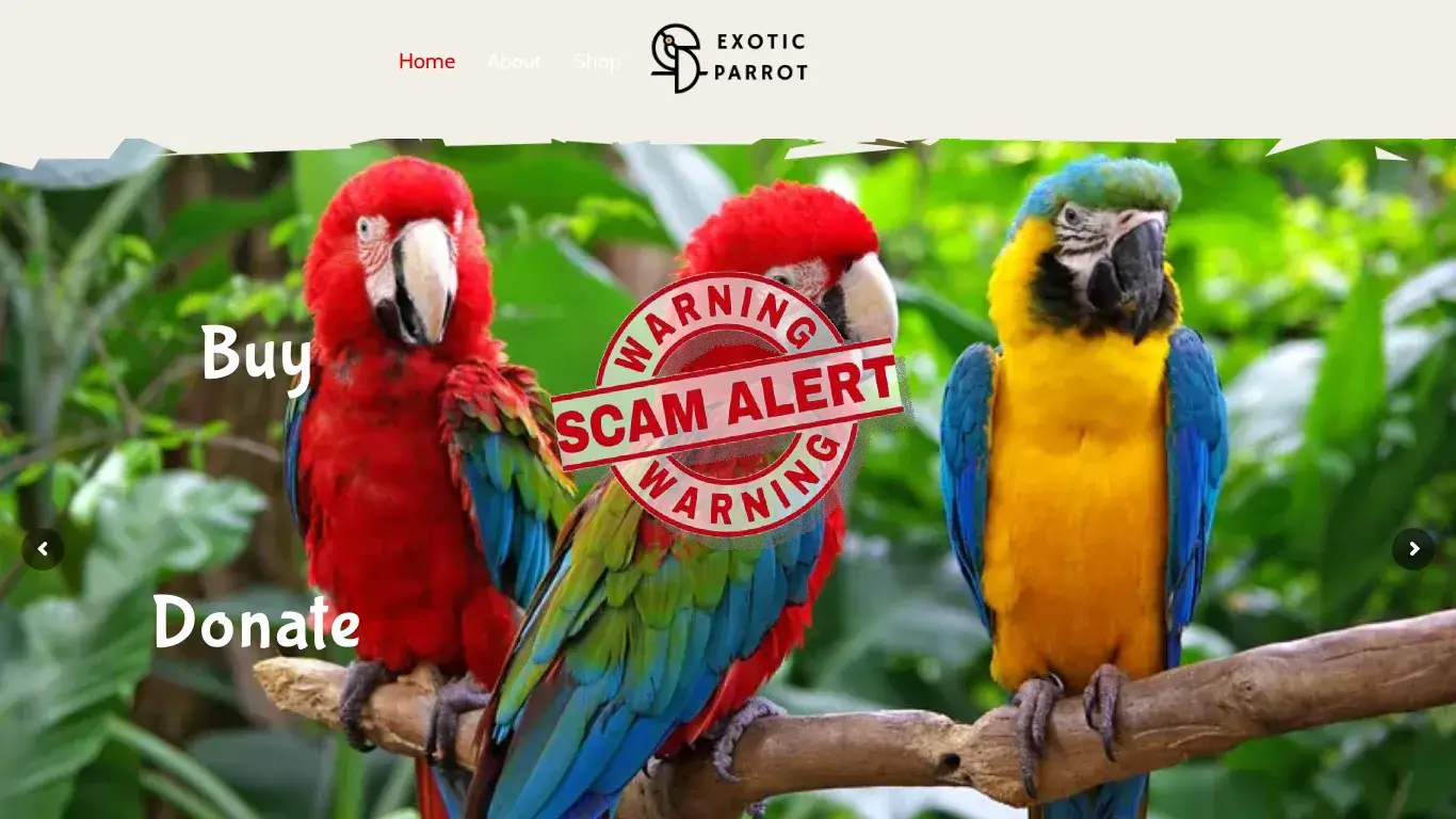 is Exotic Parrot Shop legit? screenshot