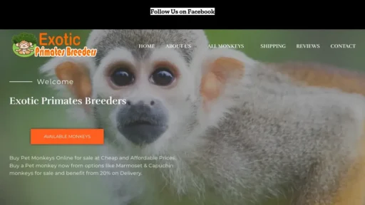 Scam Website Screenshot Exoticprimatesbreeders.com