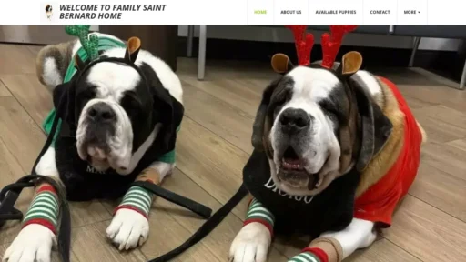 Scam Website Screenshot Familysaintbernard.online