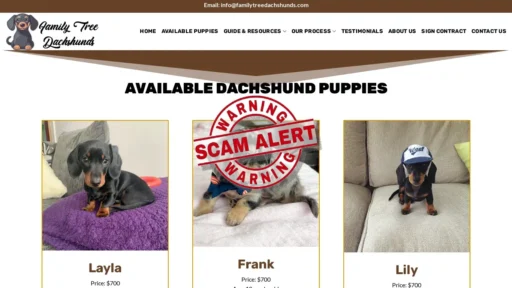 Scam Website Screenshot Familytreedachshunds.com