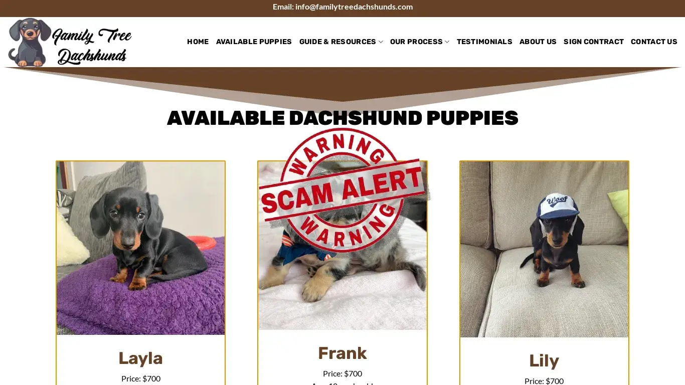 is Family Tree Dachshunds – Cute Puppies For Sale legit? screenshot