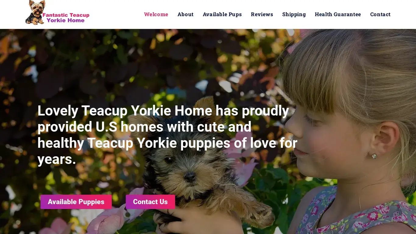 is Fantastic Teacup Yorkie Home – Yorkies for Sale legit? screenshot