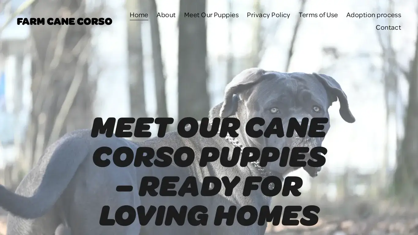 is Farm Cane Corso legit? screenshot