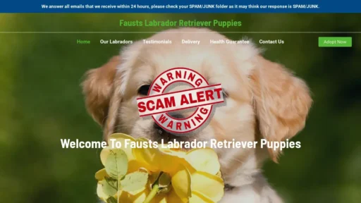 Scam Website Screenshot Faustslabradorretrieverpuppies.com