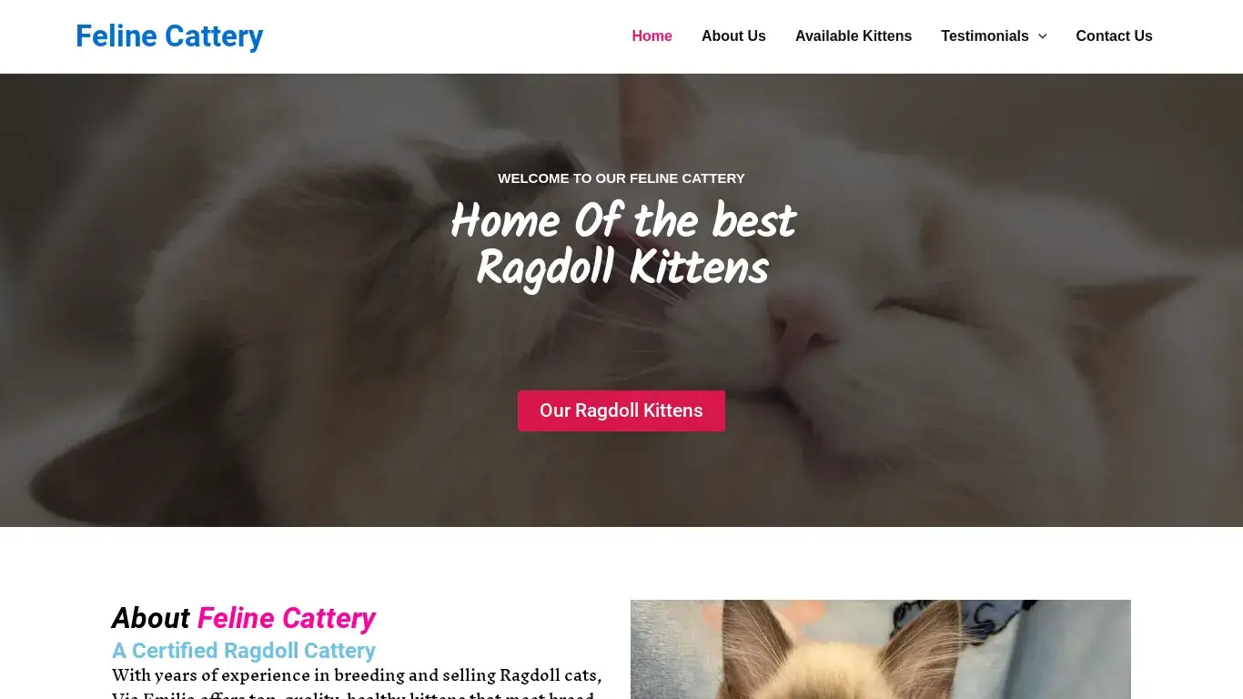 is Feline Cattery – Ragdoll Kittens For Sale legit? screenshot