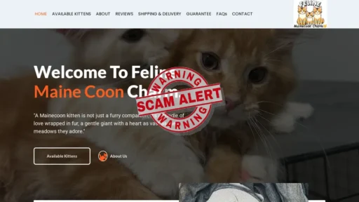 Scam Website Screenshot Felinemainecooncharm.com