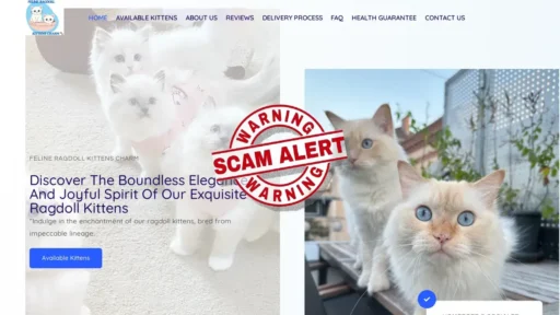 Scam Website Screenshot Felineragdollkittenscharm.com