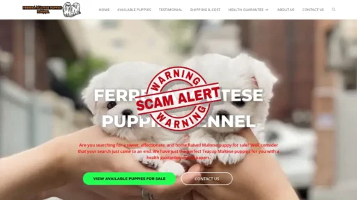Scam Website Screenshot Ferreramaltesepuppieskennel.com