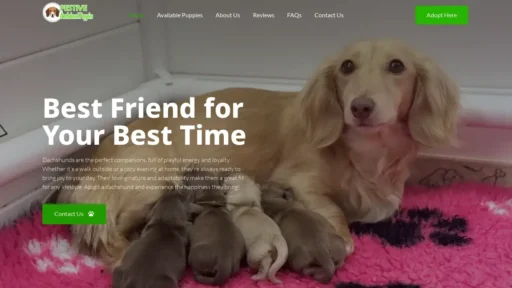 Scam Website Screenshot Festivedachshundpuppies.com