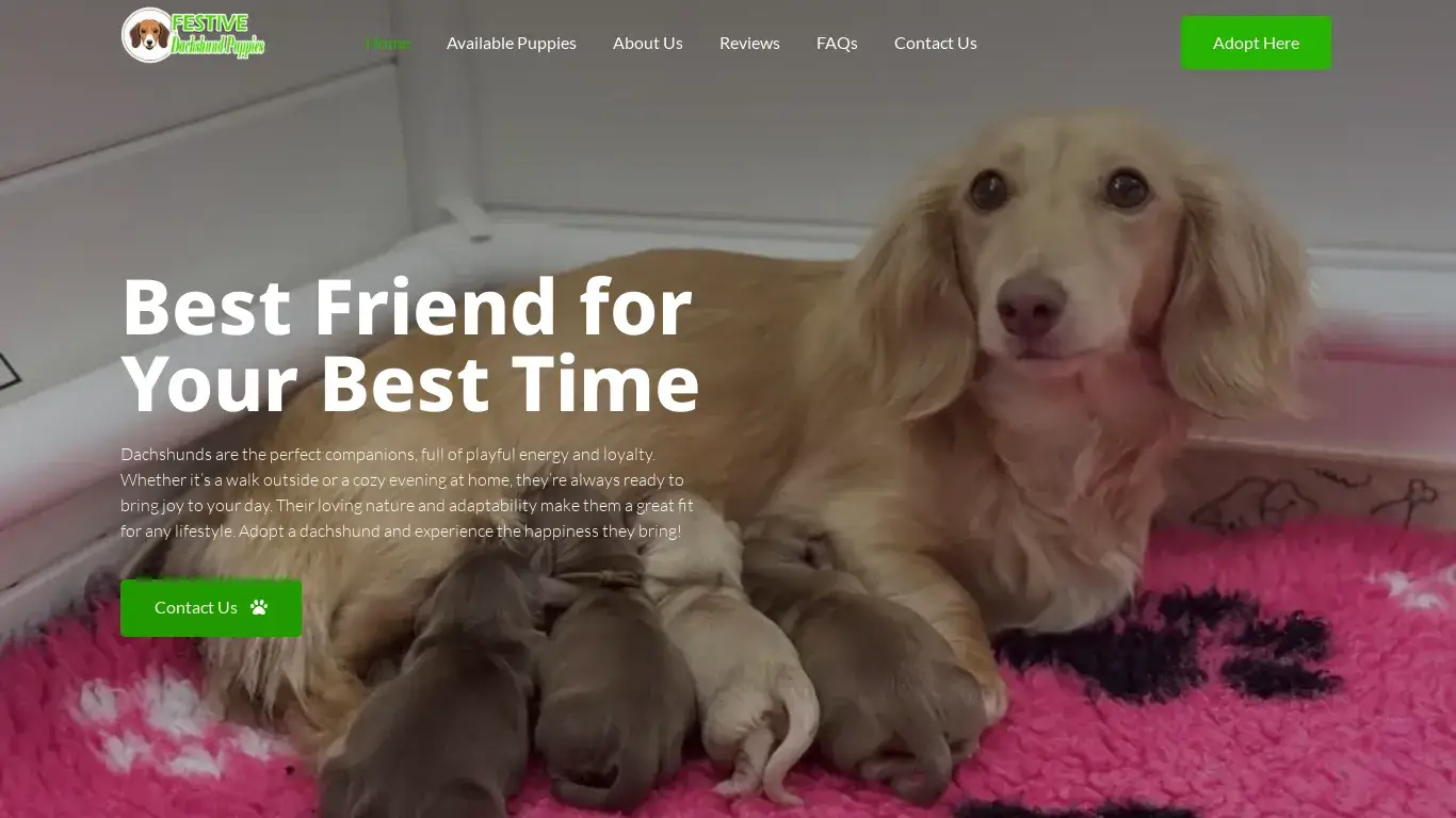is Festive Dachshund Puppies legit? screenshot