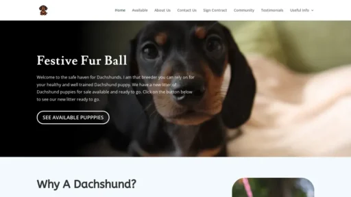 Scam Website Screenshot Festivefurball.com