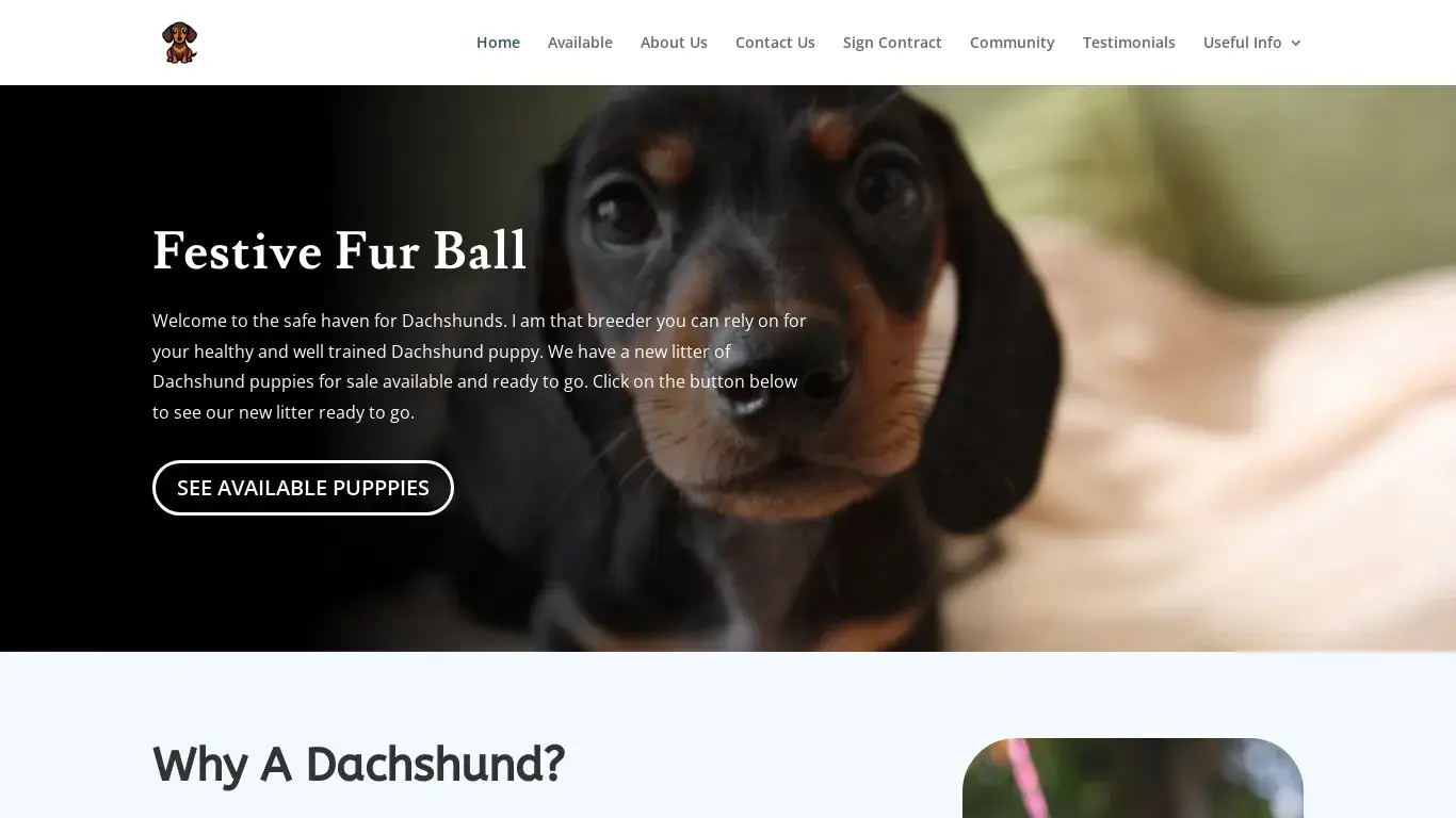 is Festive Fur Ball | legit? screenshot