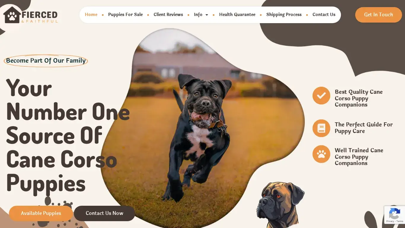 is Fierced And Faithful – puppies for sale! legit? screenshot
