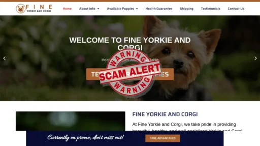 Scam Website Screenshot Fineyorkieandcorgi.com