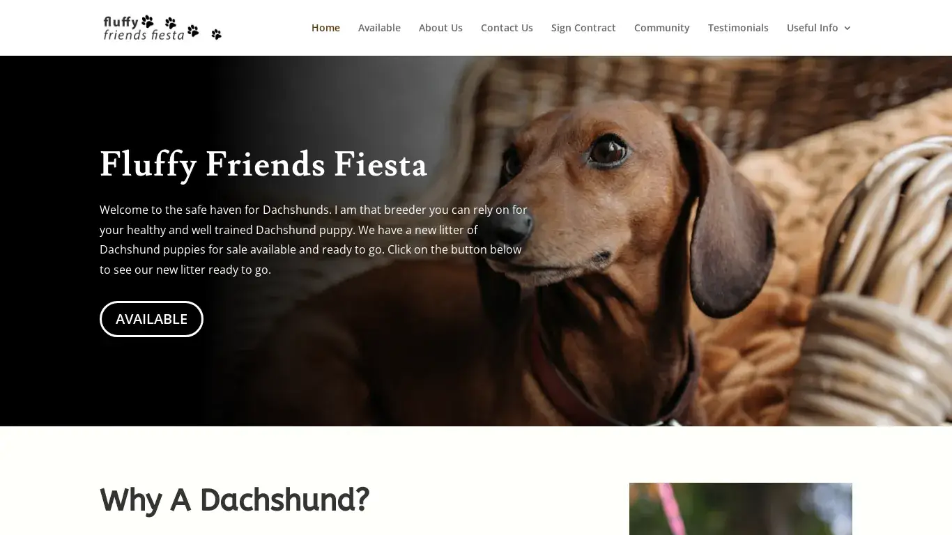 is Fluffy Friends Fiesta | legit? screenshot