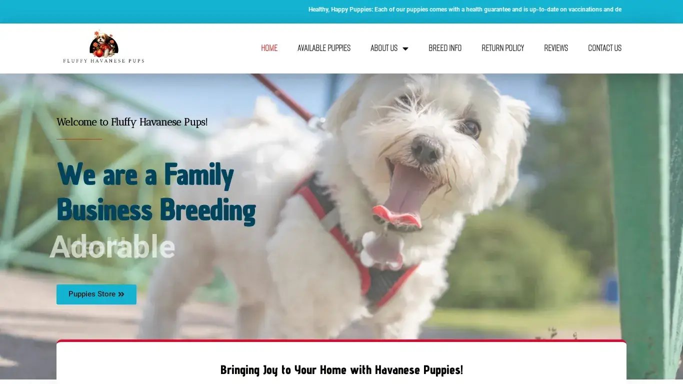 is Fluffy Havanese Pups – The Perfect Blend of Joy and Cuddles! legit? screenshot