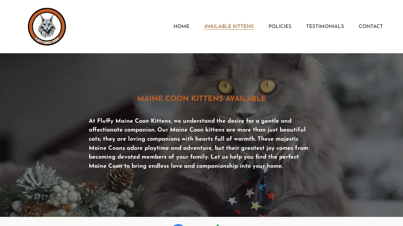 is Fluffy Maine Coon Kittens legit? screenshot
