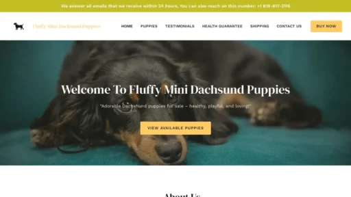 Scam Website Screenshot Fluffyminidachshundpuppies.com