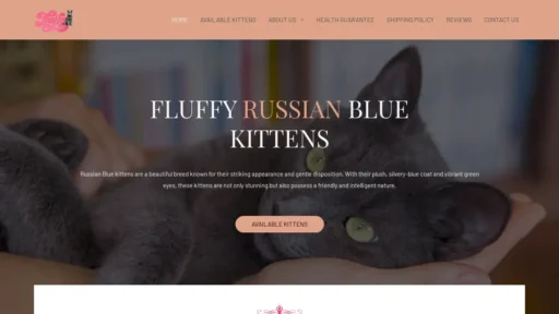 Scam Website Screenshot Fluffyrussianbluekittens.com