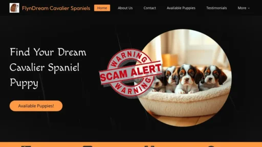 Scam Website Screenshot Flyndreamcavaliers.com