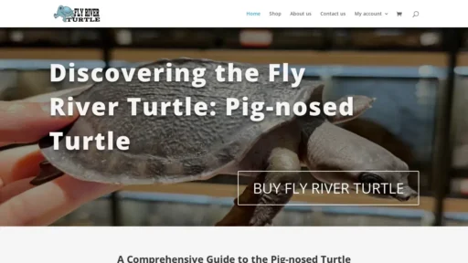 Scam Website Screenshot Flyriverturtleus.com