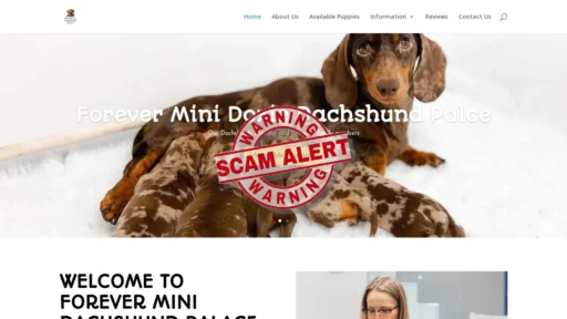 Scam Website Screenshot Foreverminidoxiedachshundpuppypalace.com