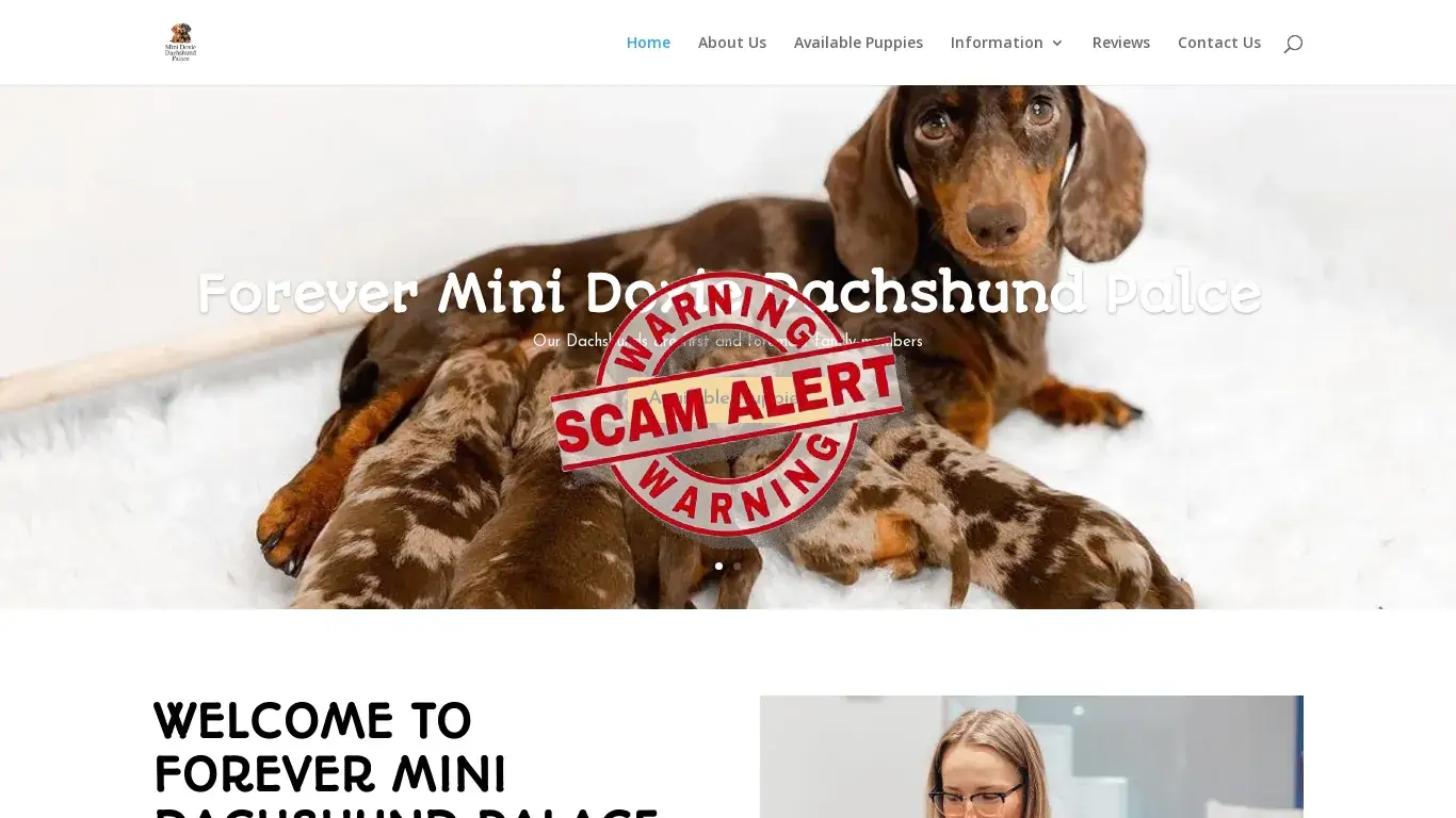 Scam Website Screenshot Foreverminidoxiedachshundpuppypalace.com