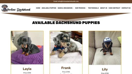Scam Website Screenshot Fortunedachshunds.com