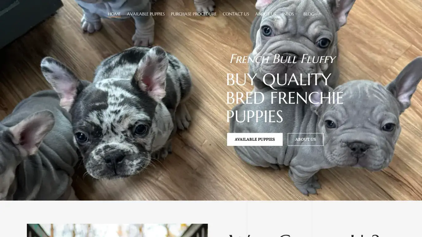 is Exotic Fluffy French Bulldogs | Fluffy French Bulldog legit? screenshot