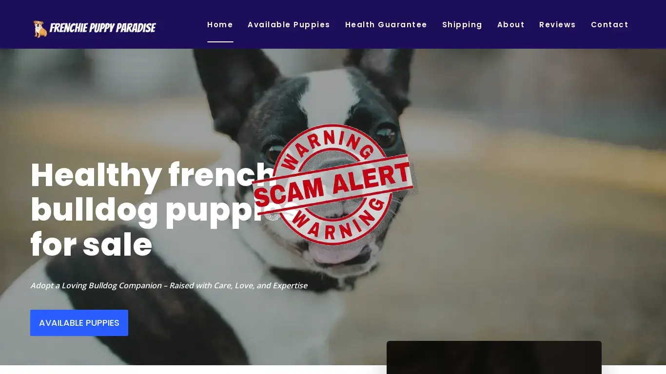 is frenchiepuppyparadise.com legit? screenshot