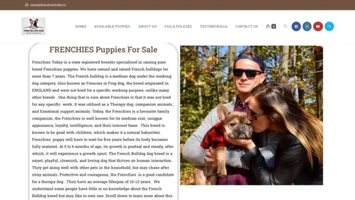 Scam Website Screenshot Frenchiestoday.io
