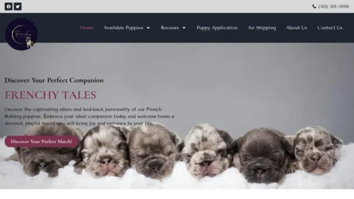 Scam Website Screenshot Frenchytales.com